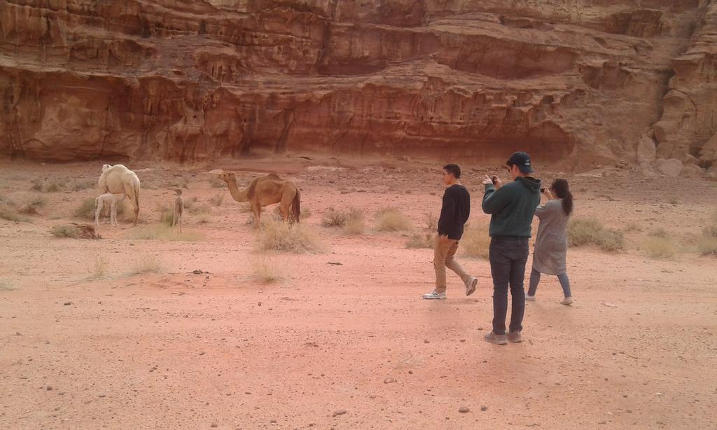 Wadi Rum Light Camp Экстерьер фото