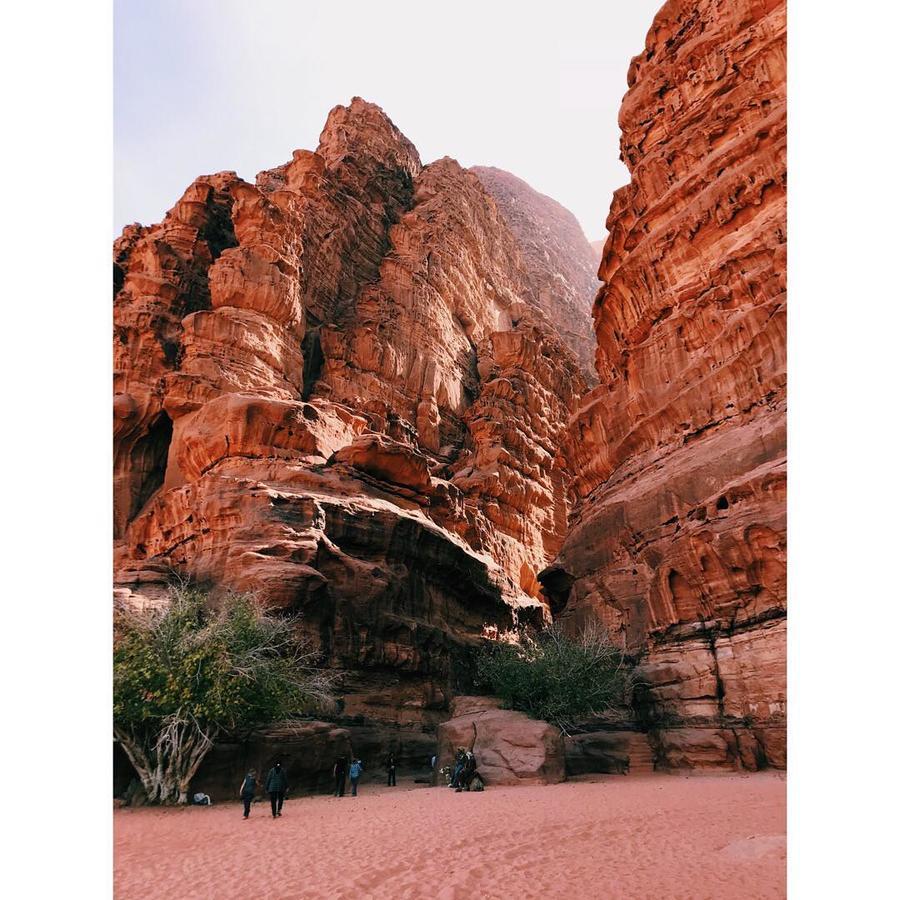 Wadi Rum Light Camp Экстерьер фото